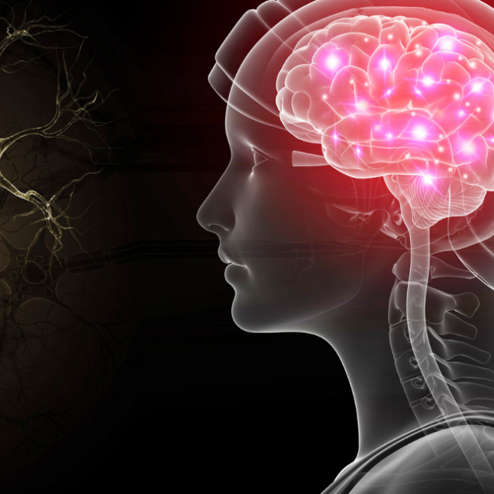 Kopia av Woman brain nerve design pink